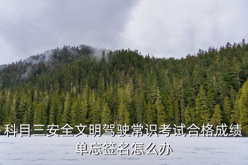 廣州科目三考試合格沒保存簽名，科目三及格不簽名可以嗎