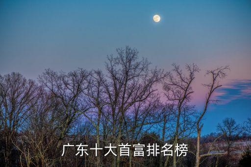 廣東十大首富排名榜