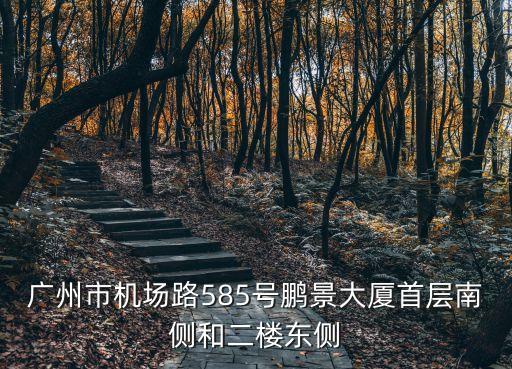 廣州獅峰公館最新房價，廣州市機場路585號鵬景大廈首層南側和二樓東側