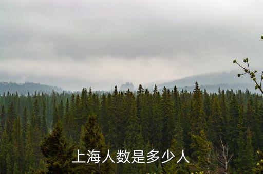 現在上海市多少人，上海有多少人口