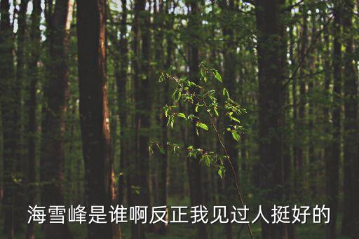 海剛峰，海雪峰是誰啊反正我見過人挺好的