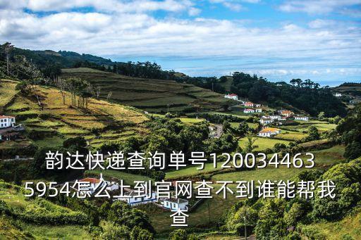韻達快遞查詢單號1200344635954怎么上到官網查不到誰能幫我查