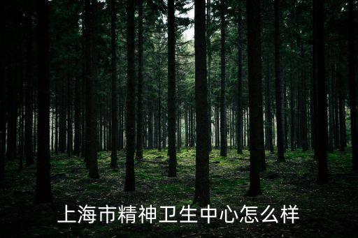 上海市精神衛生中心怎么樣