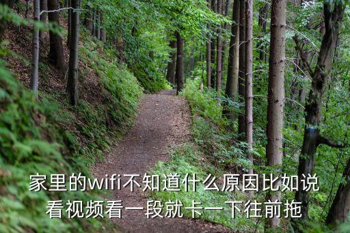 wifi卡，家里的wifi不知道什么原因比如說看視頻看一段就卡一下往前拖