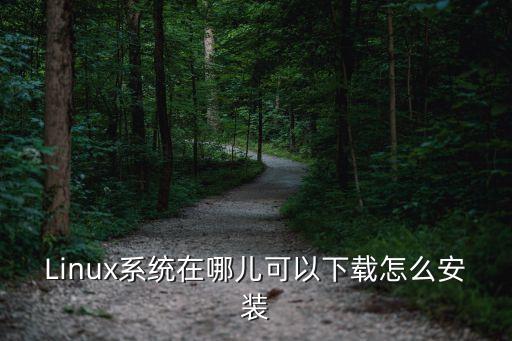 Linux系統(tǒng)在哪兒可以下載怎么安裝