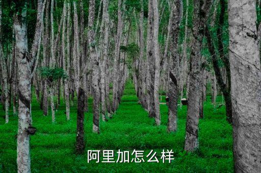 阿里加商學院廣州有限公司怎么樣，想學招商這塊大家有好的建議嗎我朋友叫去阿里加跟吳帝聰學