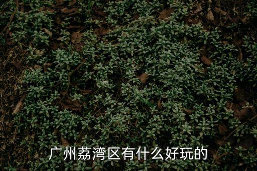 廣州荔灣區(qū)有什么好玩的