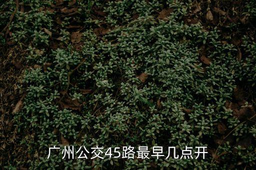廣州公交45線路，初一廣州有45路公交車嗎