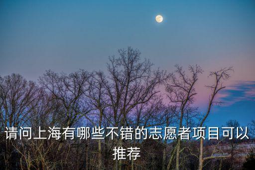 上海市星級志愿者，上海青年志愿者