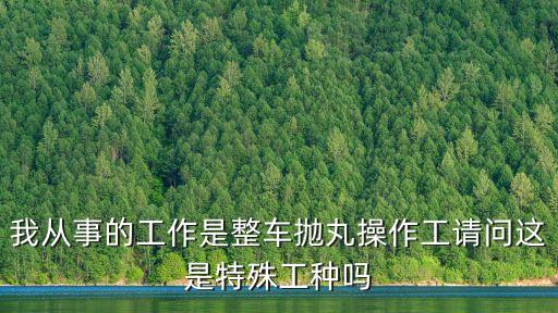 我從事的工作是整車拋丸操作工請問這是特殊工種嗎