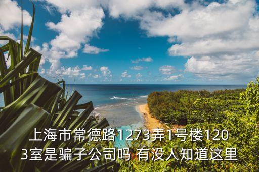 上海市王妙興，上海市常德路1273弄1號樓1203室是騙子公司嗎 有沒人知道這里