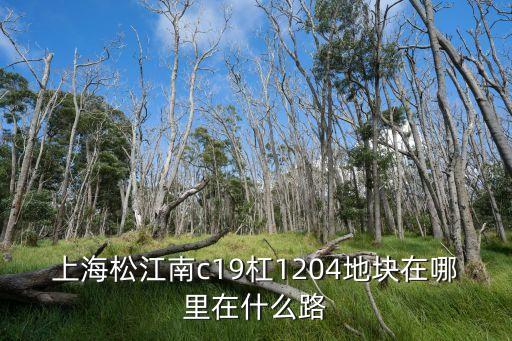 上海松江南c19杠1204地塊在哪里在什么路