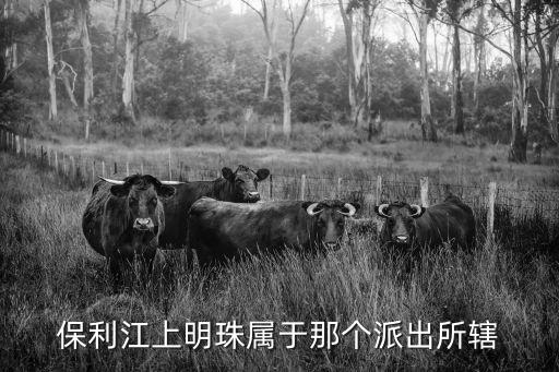 保利江上明珠屬于那個派出所轄