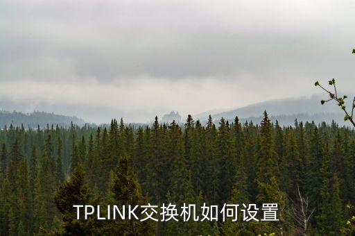 TPLINK交換機如何設置