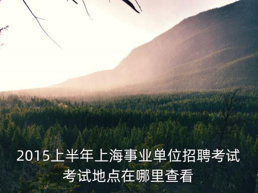 2015上半年上海事業單位招聘考試考試地點在哪里查看