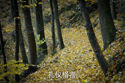 關于禮儀的名言，關于文明禮儀的名句