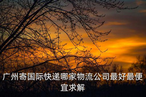 廣州國際物流陸運，廣州寄國際快遞哪家物流公司最好最便宜求解