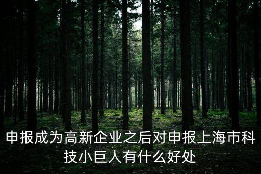 申報成為高新企業之后對申報上海市科技小巨人有什么好處