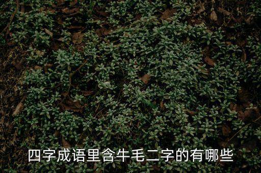 四字成語里含牛毛二字的有哪些