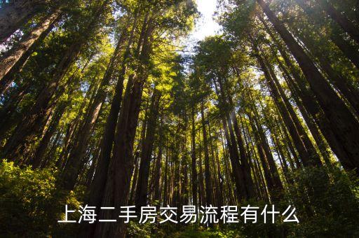 上海市 二手房 網(wǎng)簽，上海二手房如何網(wǎng)簽