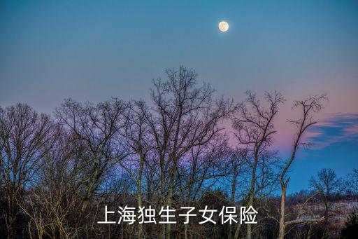 上海市加發5計劃生育，計劃生育證再婚后辦理退休加發計劃生育5手續時提供不了