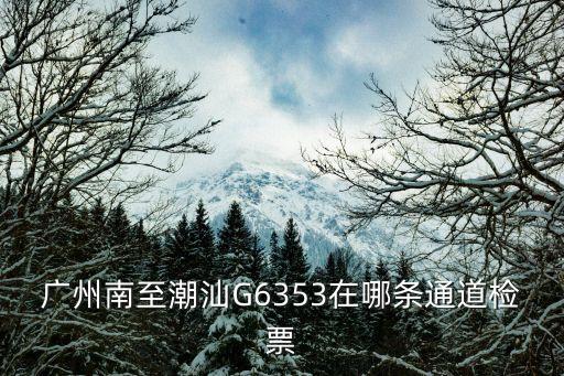 廣州南至潮汕G6353在哪條通道檢票