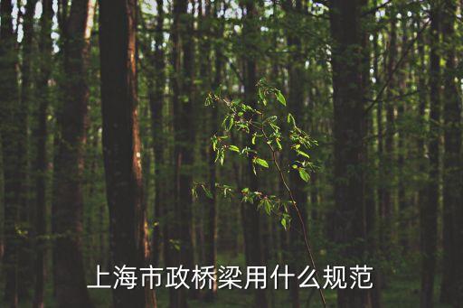 上海市橋梁驗收標準，上海市政橋梁用什么規范