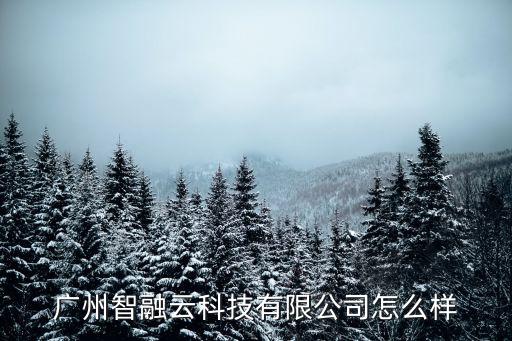廣州智融云科技有限公司怎么樣