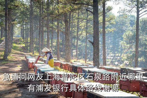 急請問網友上海普陀區石泉路附近哪里有浦發銀行具體路線謝謝