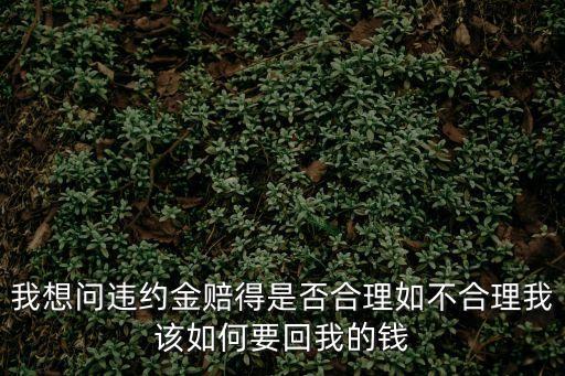 上海市浦東新區教育局 審計，我想問違約金賠得是否合理如不合理我該如何要回我的錢