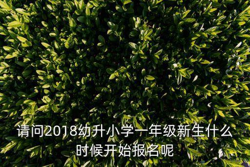 請問2018幼升小學一年級新生什么時候開始報名呢