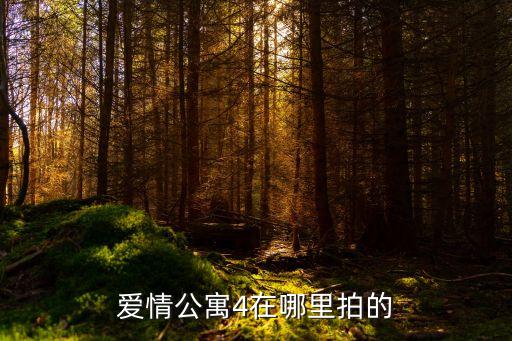上海市崇明區(qū)東門中學(xué)金娣，愛情公寓4在哪里拍的