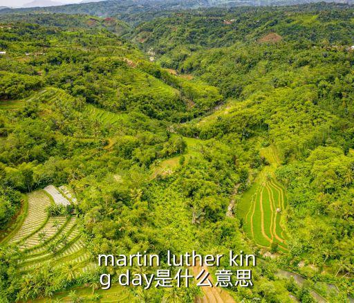 martin luther king day是什么意思