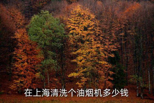 在上海清洗個油煙機多少錢