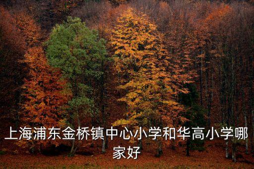 上海浦東金橋鎮中心小學和華高小學哪家好