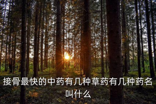 斷骨接骨快速草藥，接骨最快的中藥有幾種草藥有幾種藥名叫什么
