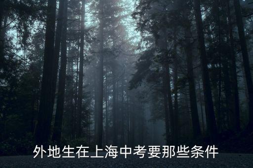 2018上海市中考要求，外地生在上海中考要那些條件
