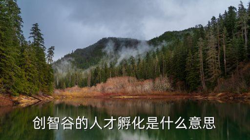 廣州創智谷產業園，創智谷的人才孵化是什么意思
