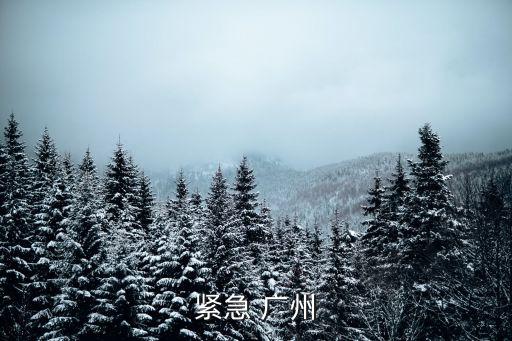 廣州沙亭崗新聞，請問廣州今早十點鐘之前那里發生了火災
