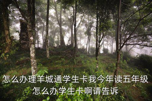 怎么辦理羊城通學(xué)生卡我今年讀五年級(jí)怎么辦學(xué)生卡啊請(qǐng)告訴