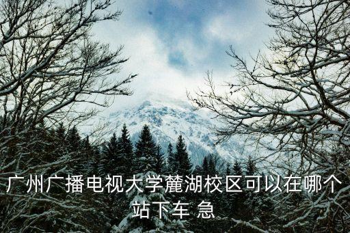 廣州廣播電視大學麓湖校區可以在哪個站下車 急