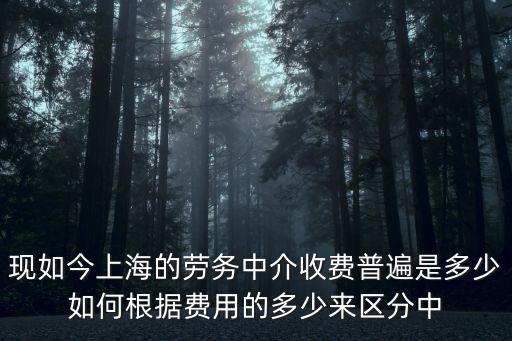 現(xiàn)如今上海的勞務(wù)中介收費(fèi)普遍是多少如何根據(jù)費(fèi)用的多少來(lái)區(qū)分中