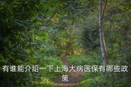 有誰能介紹一下上海大病醫保有哪些政策