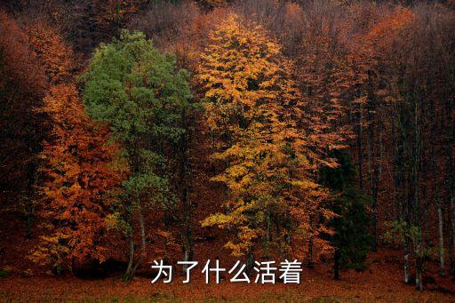 為了能活著，為了什么活著