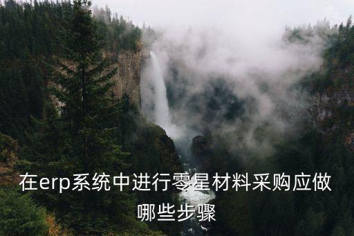 在erp系統(tǒng)中進(jìn)行零星材料采購應(yīng)做哪些步驟