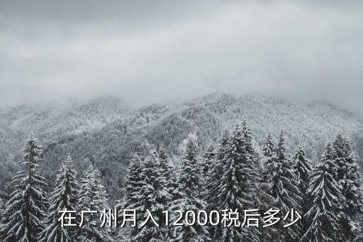 廣州2萬月薪稅后，在廣州月入12000稅后多少