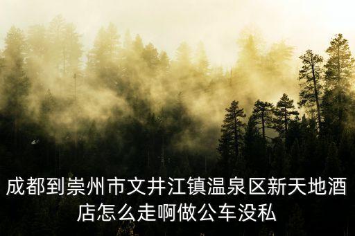 成都到崇州市文井江鎮溫泉區新天地酒店怎么走啊做公車沒私