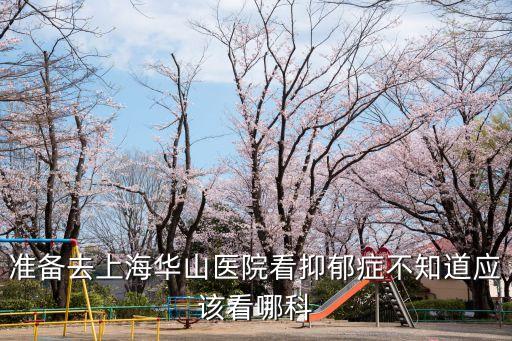 準(zhǔn)備去上海華山醫(yī)院看抑郁癥不知道應(yīng)該看哪科
