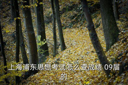 上海市思品考試成績查詢，上海浦東思想考試怎么查成績 09屆的
