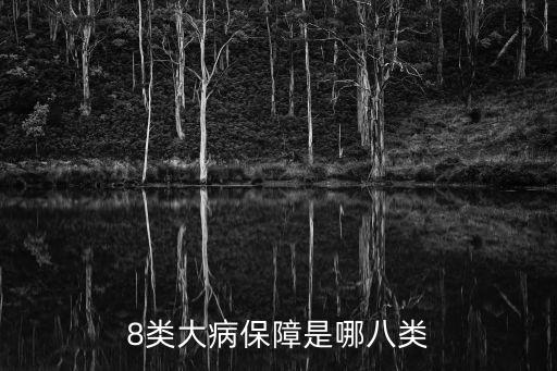 上海市八大種大病醫保，上海大病醫保范圍有些什么病可以大病醫保范圍中